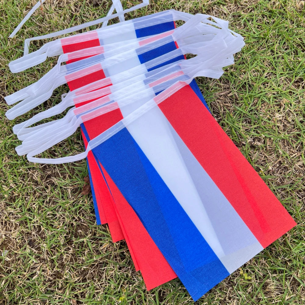 Netherlands Mini Flag Set – 20pcs, 14x21cm Polyester Dutch Flags for Decoration – The Party Days | The Party Days