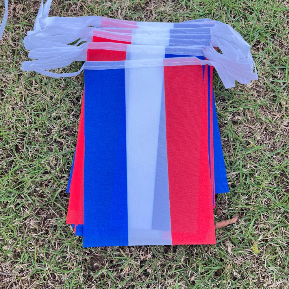 Netherlands Mini Flag Set – 20pcs, 14x21cm Polyester Dutch Flags for Decoration – The Party Days | The Party Days